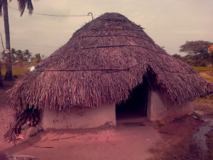 the house