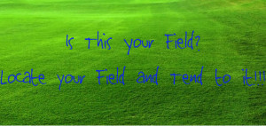 Are you in your field